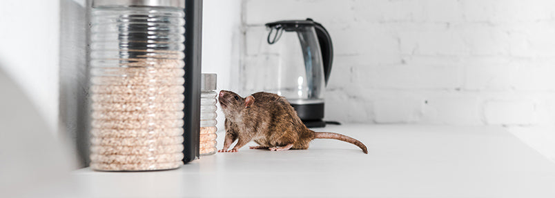 Alliance Pest Control's Guardian Shield for the Food & Beverage Industry