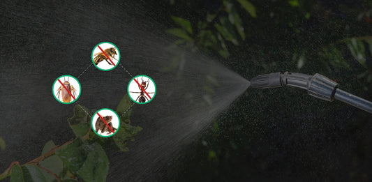 "Reliable Pest Control Services in Kuala Lumpur by Alliance Pest Control"